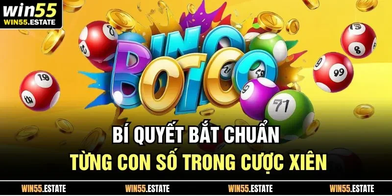 Lô Xiên Là Gì? Cách Đánh Lô Xiên Siêu Chuẩn Từ Chuyên Gia 3 Bí quyết bắt chuẩn từng con số trong cược xiên