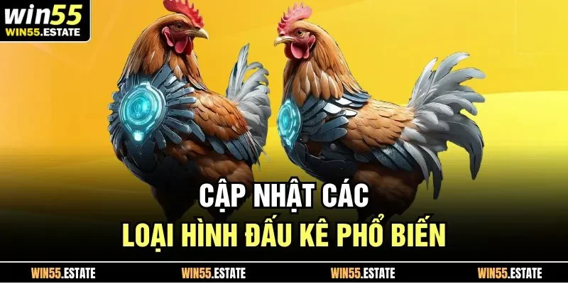 Đá Gà Trực Tiếp 88 Cơ Hội Nhận Thưởng Lớn Khi Tham Gia Kèo 3 Cập nhật các loại hình đấu kê phổ biến