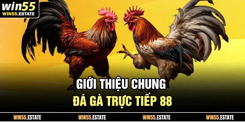 Đá Gà Trực Tiếp 88 Cơ Hội Nhận Thưởng Lớn Khi Tham Gia Kèo 1 Giới thiệu chung đá gà trực tiếp 88