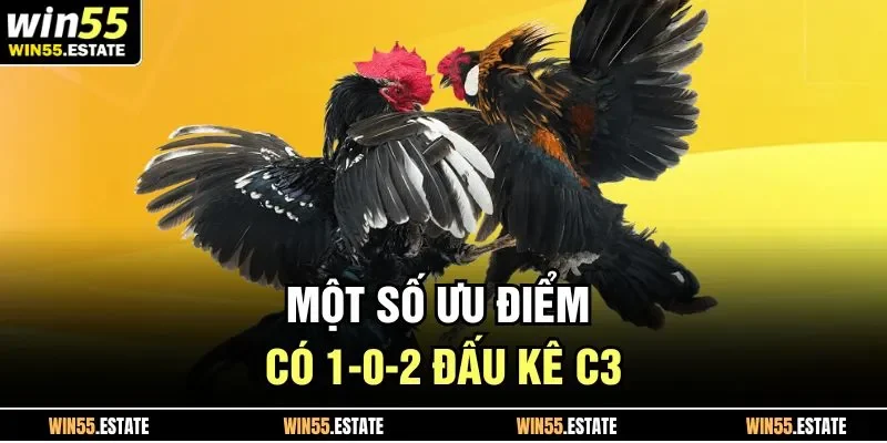 Đá Gà Trực Tiếp C3 Cơ Hội Thắng Lớn Dành Cho Mọi Người Chơi 2 Một số ưu điểm có 1-0-2 đấu kê C3
