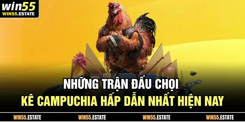 Đá Gà Campuchia Và 5 Hình Thức Cá Cược Hot Nhất Năm 2025 2 Những trận đấu chọi kê Campuchia hấp dẫn nhất hiện nay