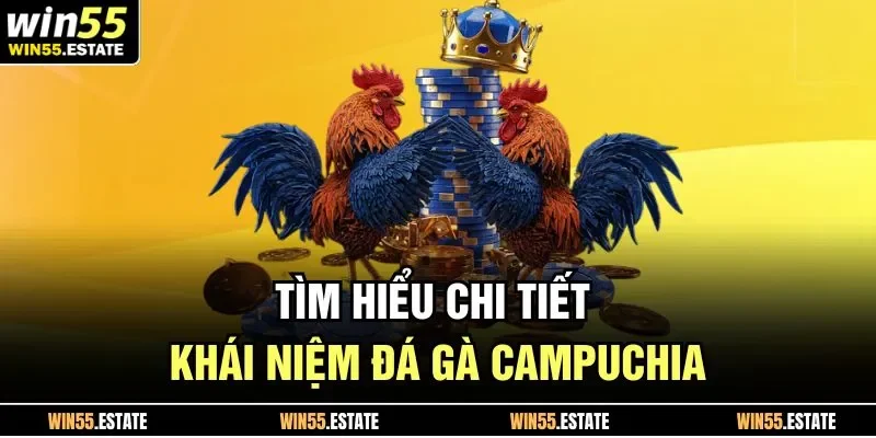 Đá Gà Campuchia Và 5 Hình Thức Cá Cược Hot Nhất Năm 2025 1 Tìm hiểu chi tiết khái niệm đá gà Campuchia