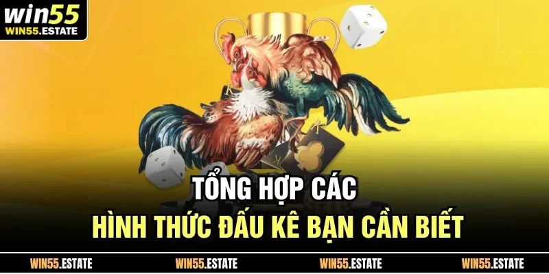 Đá Gà Thomo Trải Nghiệm Kèo Hấp Dẫn Bạn Không Thể Bỏ Qua 3 Tổng hợp các hình thức đấu kê bạn cần biết
