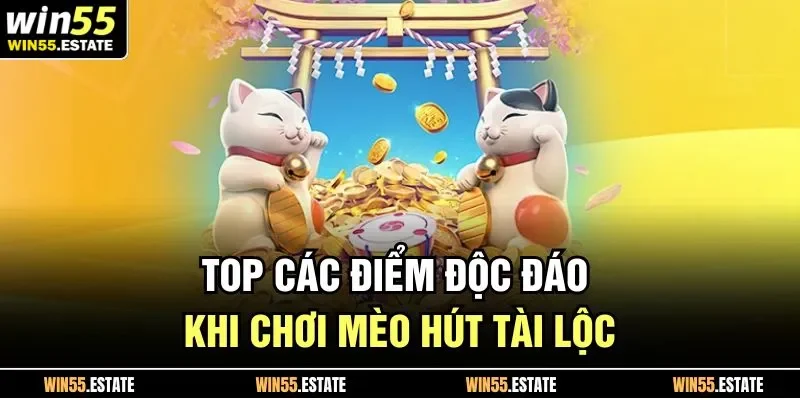 Mèo Tài Lộc Khám Phá Chiến Thuật Chơi May Mắn Hiệu Quả 2025 2 Top các điểm độc đáo khi chơi mèo hút tài lộc