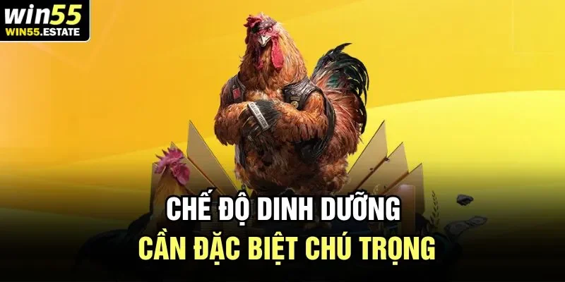 Chế độ dinh dưỡng cần đặc biệt chú trọng