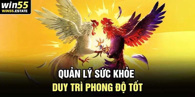 4 Cách Nuôi Gà Đá Win55 - Hướng Dẫn Dễ Hiểu, Chi Tiết Nhất 3 Quản lý sức khỏe duy trì phong độ tốt